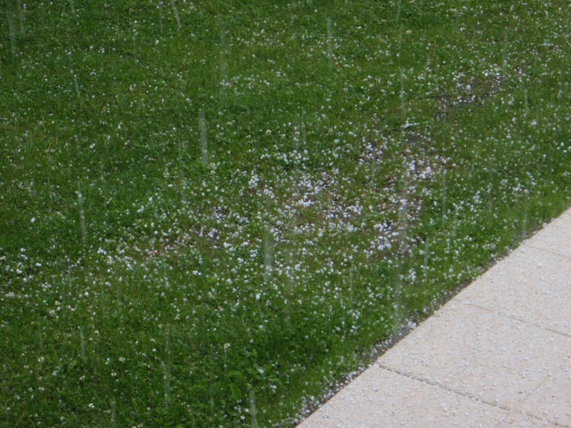 Kein Hagel in Forchtenstein-noch nicht