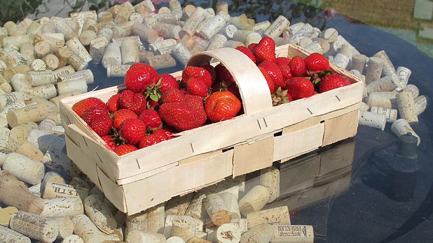 Erdbeeren (Ananas) aus dem Burgenland