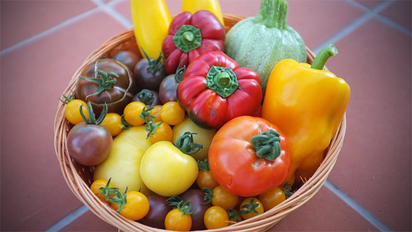 Vielfalt an Tomaten, Zucchini und Paprika