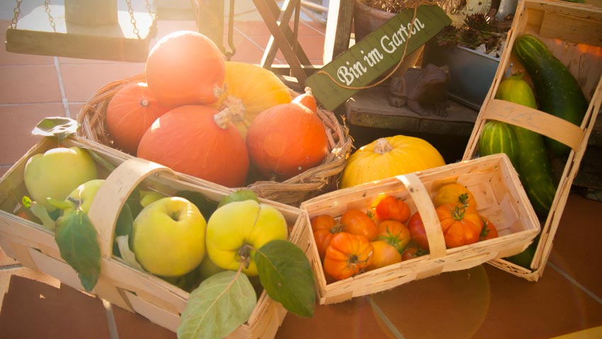 Die Farben des Herbstes im Garten