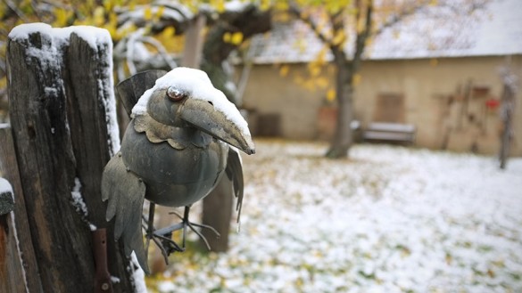 Winter im Burgenland-01