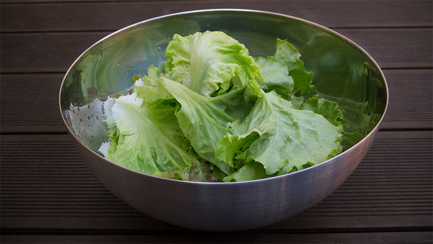 Eigener Salat schmeckt besser: Grazer Häuptel