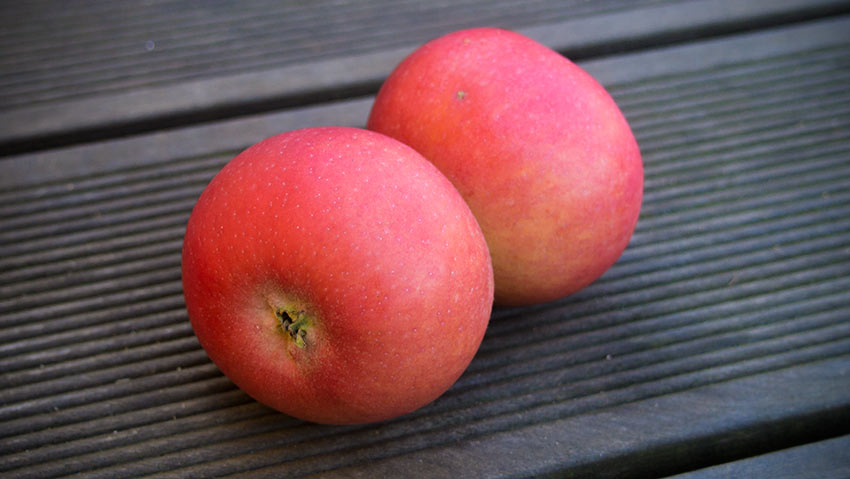 Wir präsentieren: Der Burgenländische Doppelapfel