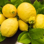Zitronen im Bburgenland: unsere Eernte