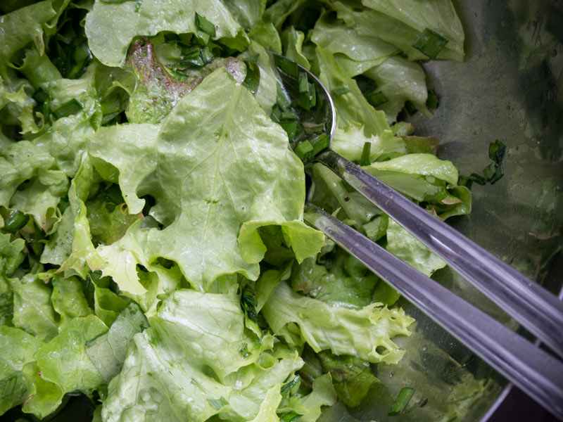 Der erste eigene Salat in diesem Jahr