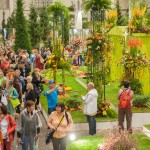 Internationale-Gartenbaumesse-Tulln-2014-03