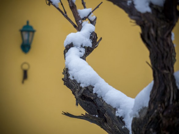 Gartenjahr Winterpause