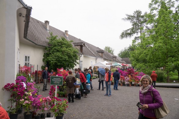 Gartenlust-Lackenbach-impressionen