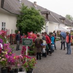 Gartenlust-Lackenbach-impressionen