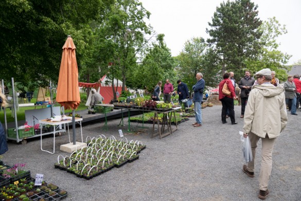 Gartenlust-Lackenbach-impressionen