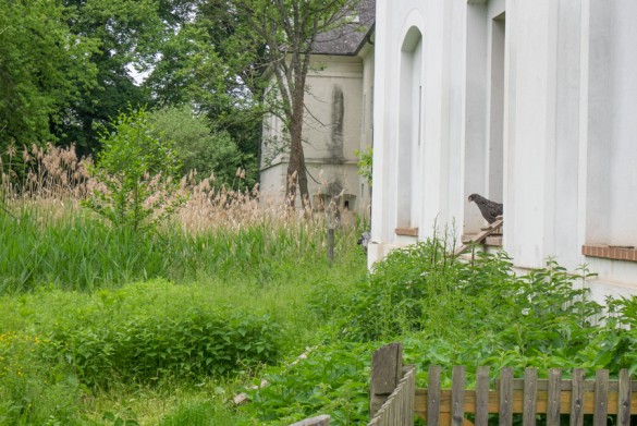 Gartenlust-Lackenbach-impressionen