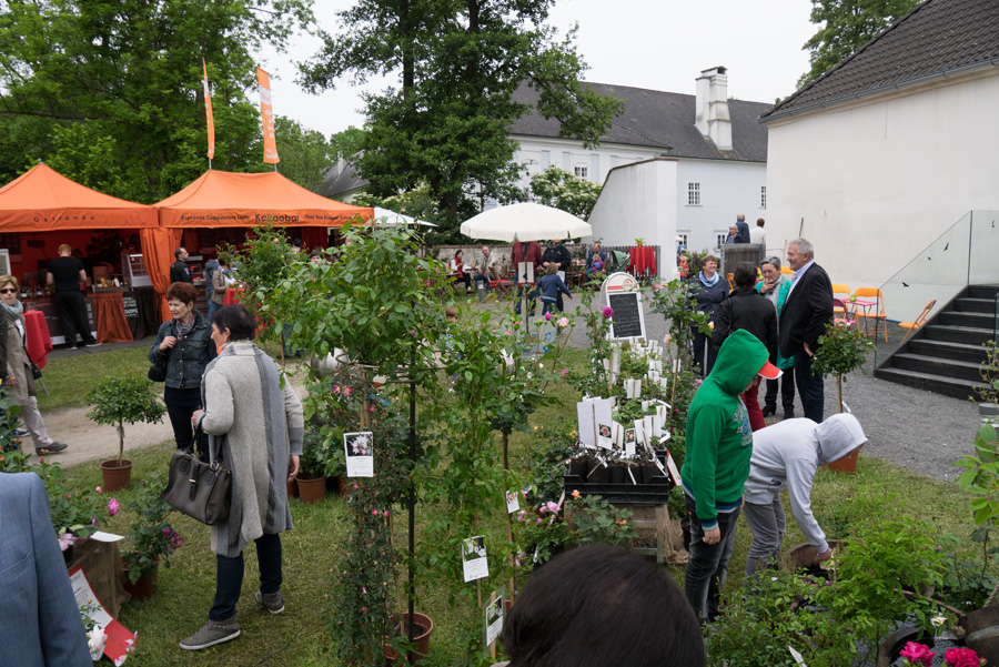 Gartenlust-Lackenbach-impressionen