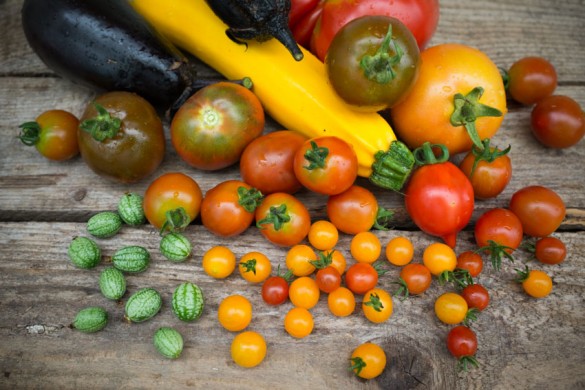 Paradeiser_Tomaten_vom_Burgenland