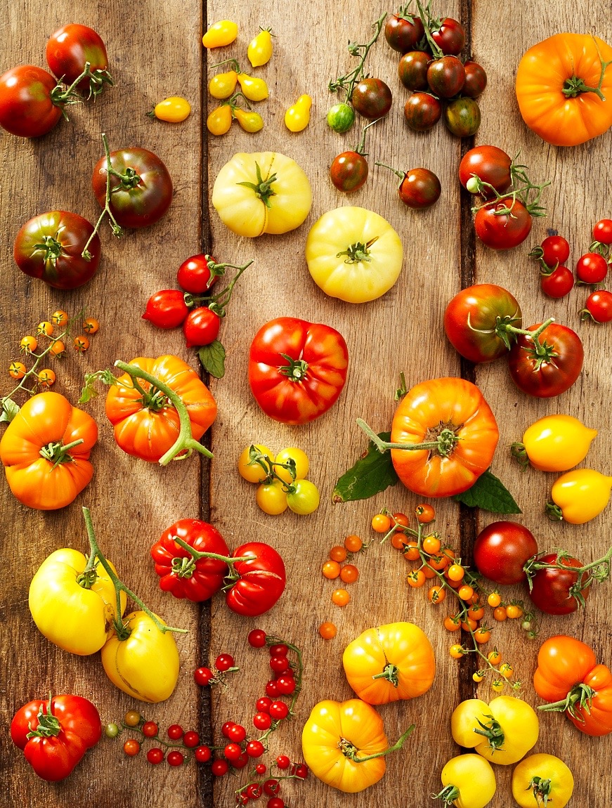Vielfalt an Tomaten in Burgenland