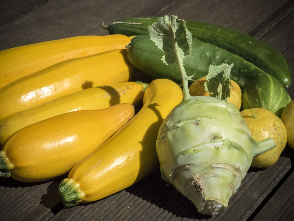 Gemüseernte im Gartenjahr