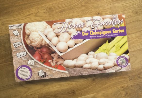 Champignons selber züchten