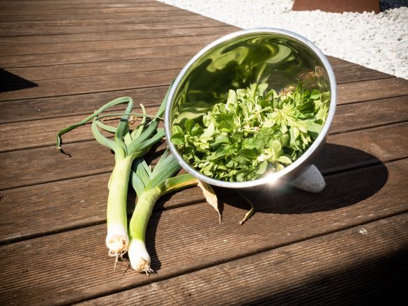 Lauch-und-Feldsalat-aus-dem-Hochbeet