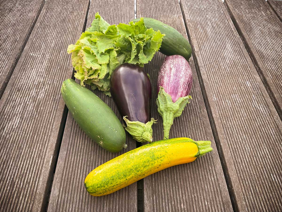 Gemüse im Sommer 2021