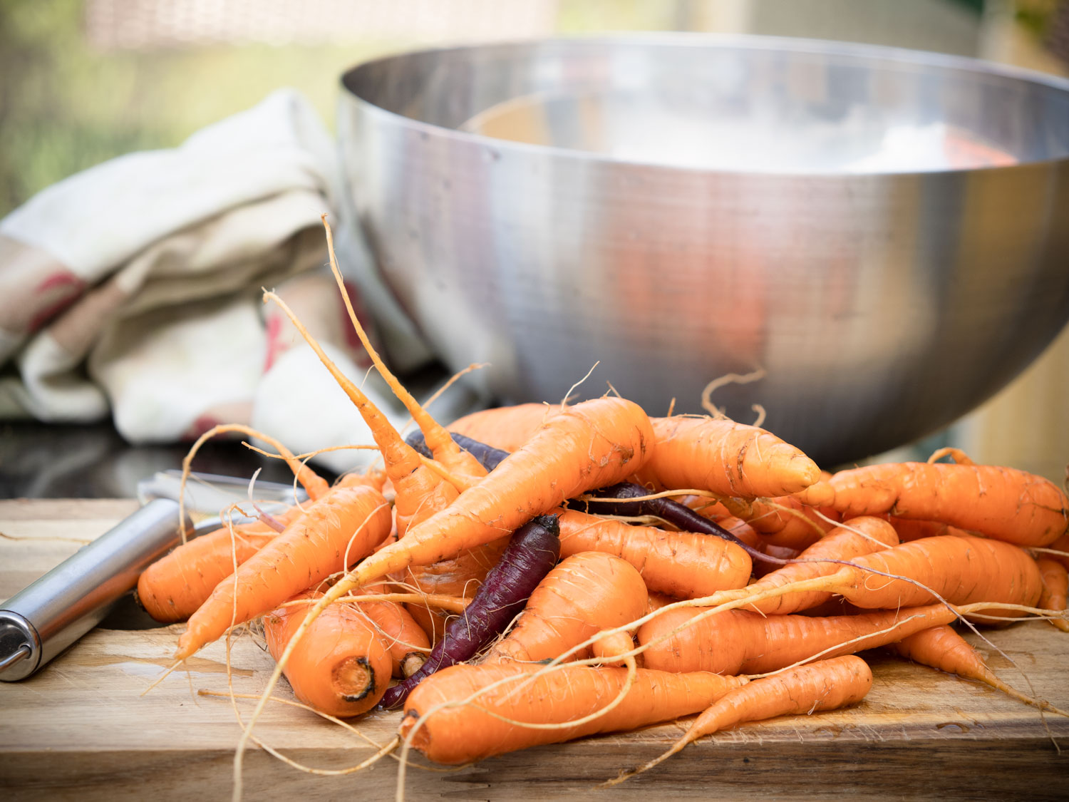Karotten-Ernte-Möhren-werden-geerntet-2021