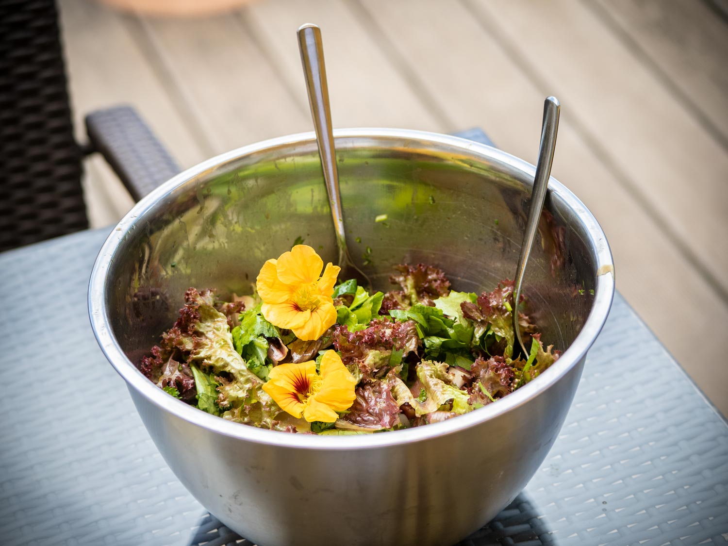 Salat aus dem Hochbeet mit Kapuzinerkresse