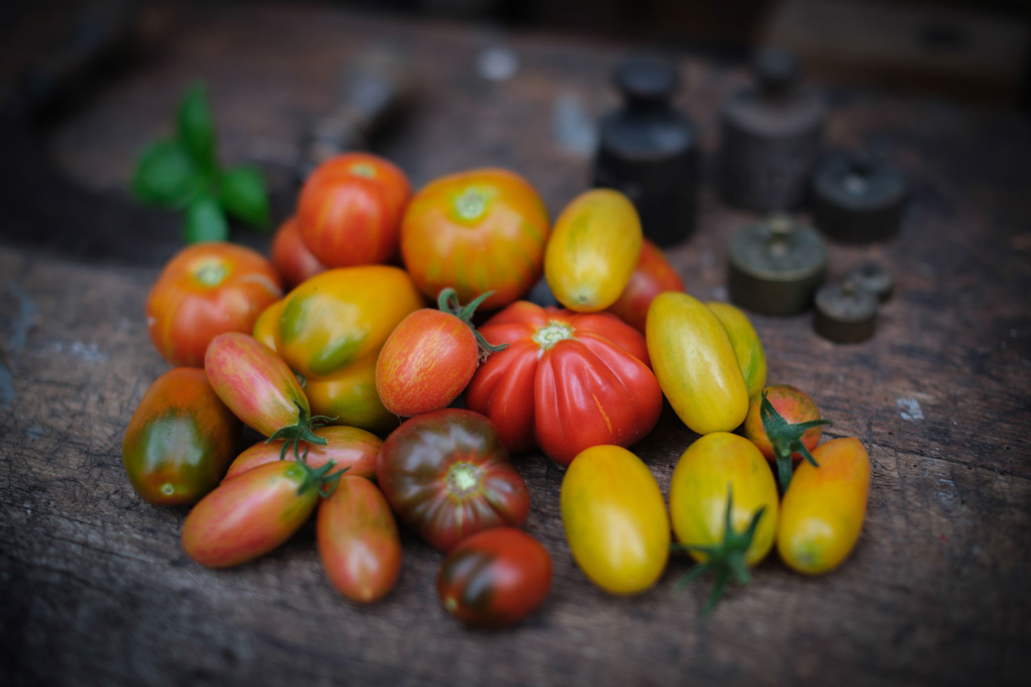 Paradeiser oder Tomaten: Wie sagt ihr dazu? Paradeiser oder Tomaten: Wie sagt ihr dazu?