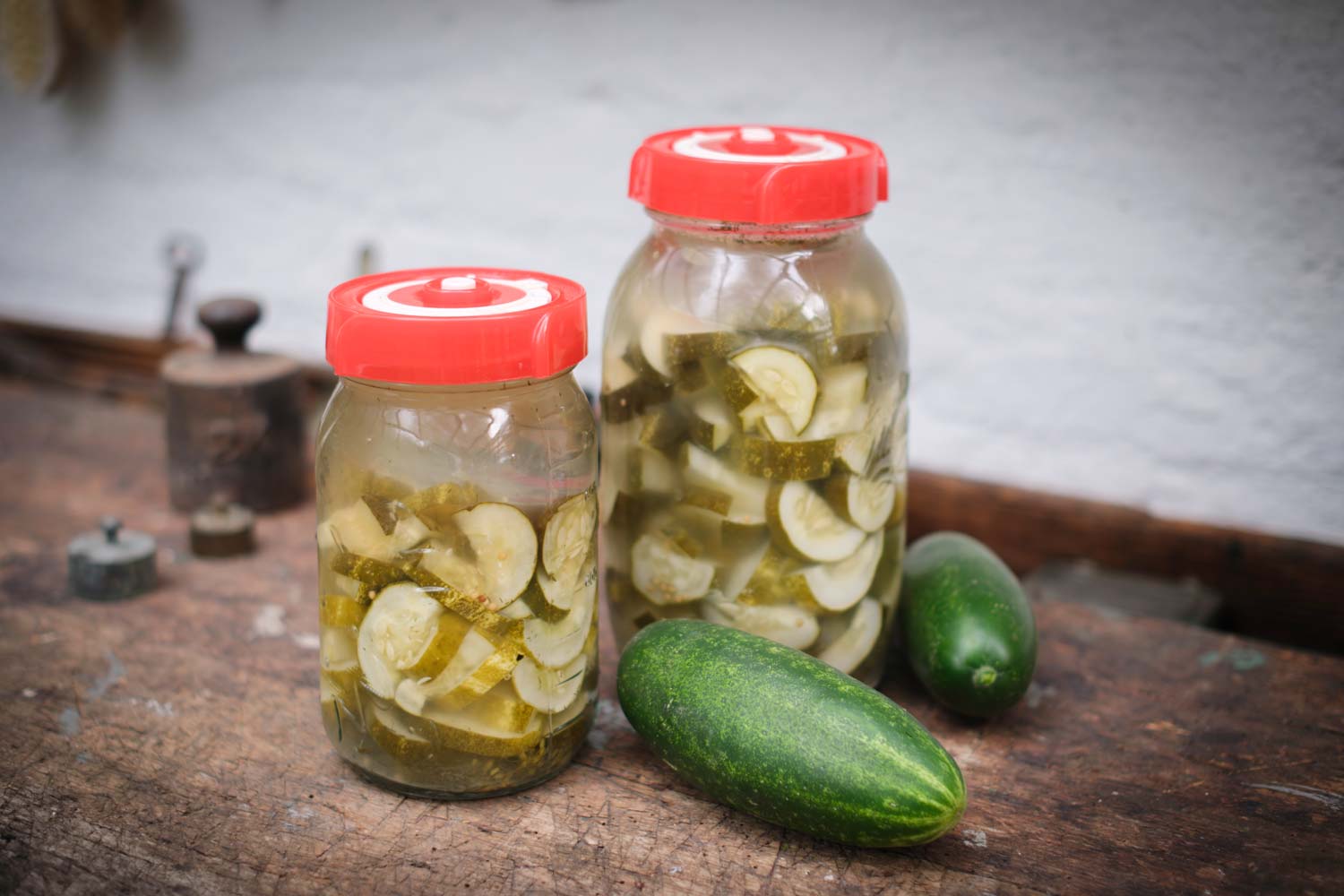 Gurken fermentieren / milchsauer einlegen Gurken fermentieren / milchsauer einlegen